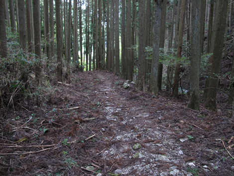 20141108hike (106)